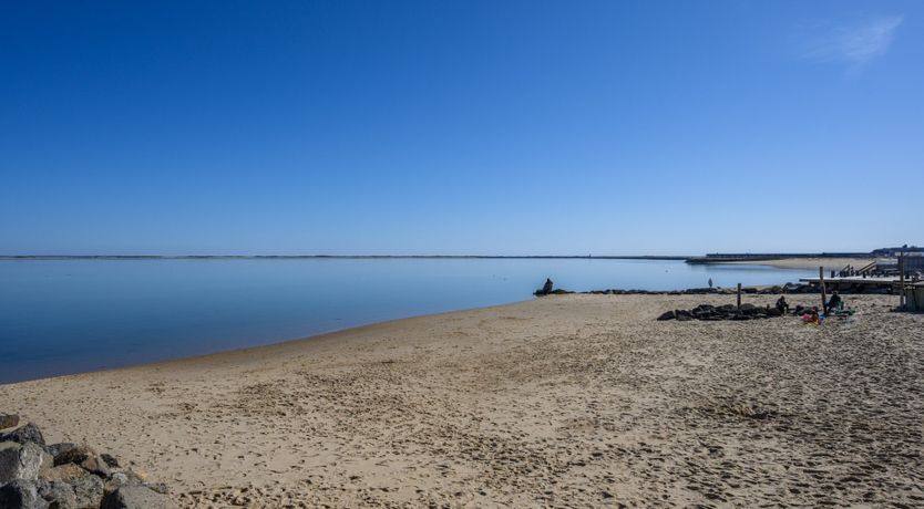 Photo of Sea Urchin Escape