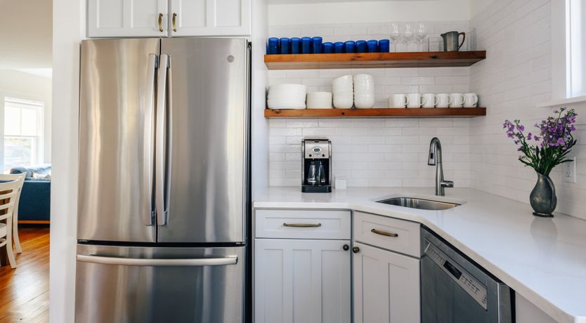 Photo of Sea Urchin Escape