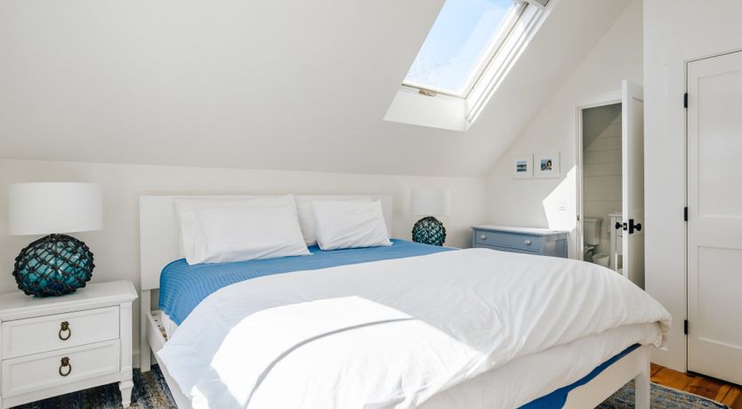 Photo of Sea Urchin Escape