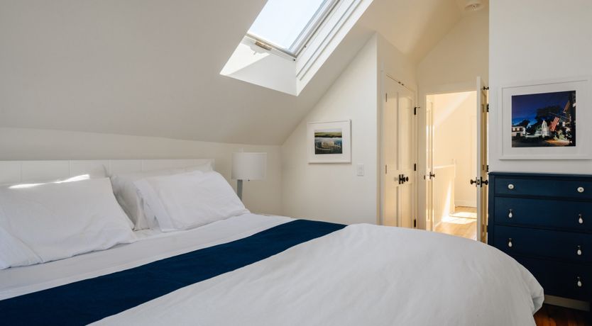 Photo of Sea Urchin Escape