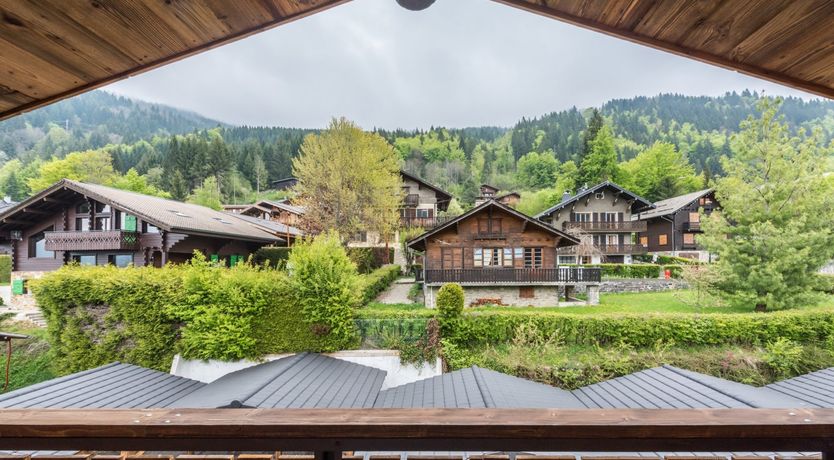 Photo of Leyland Cypress