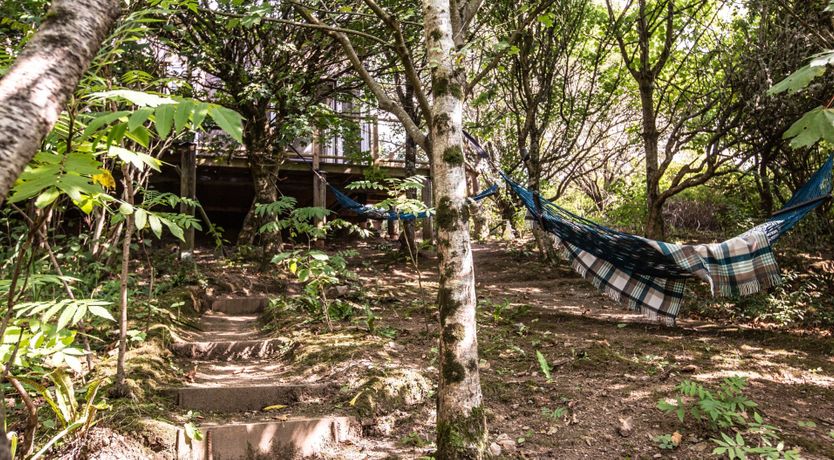 Photo of Hyde & Seek