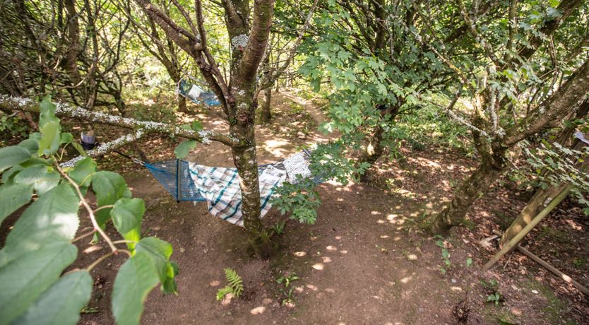 Photo of Hyde & Seek