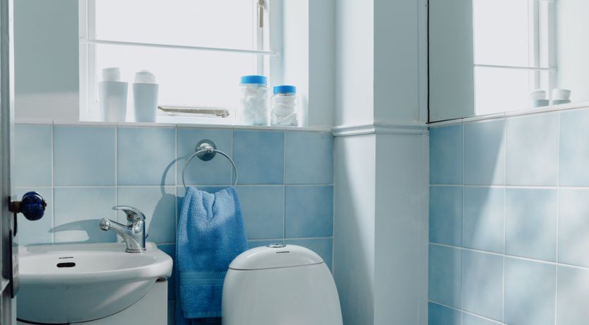 Photo of Life in Pimlico