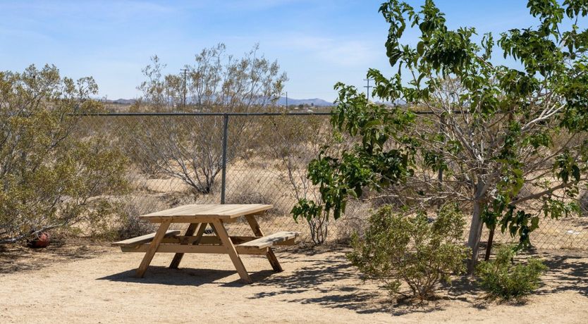 Photo of Magic Of Sage