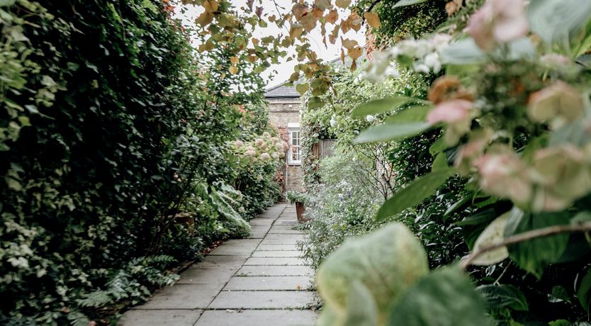 Photo of Sun Swept Ladbroke