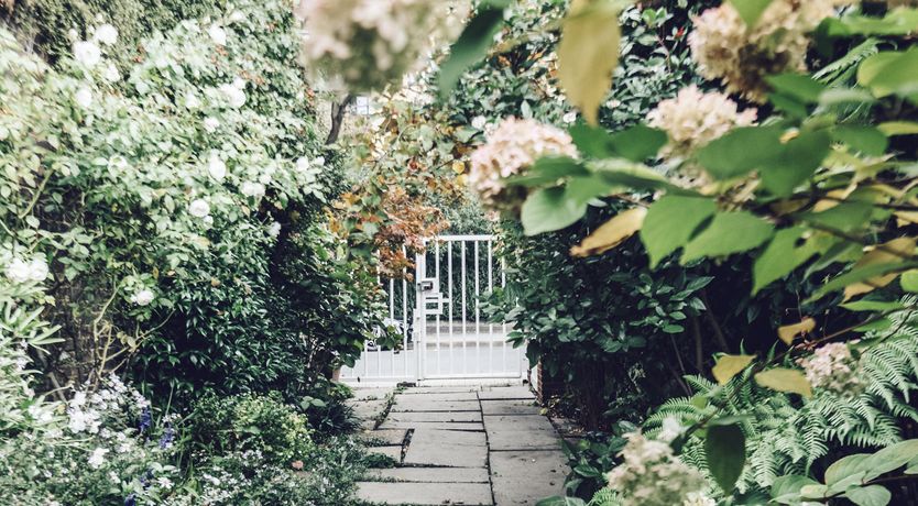 Photo of Sun Swept Ladbroke