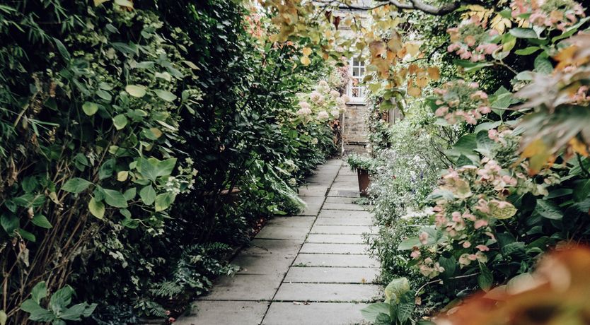 Photo of Sun Swept Ladbroke