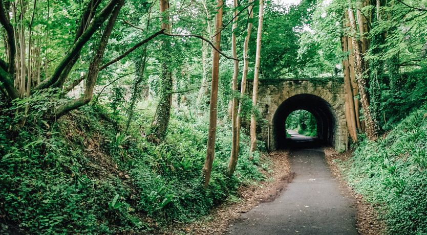 Photo of Faerie World