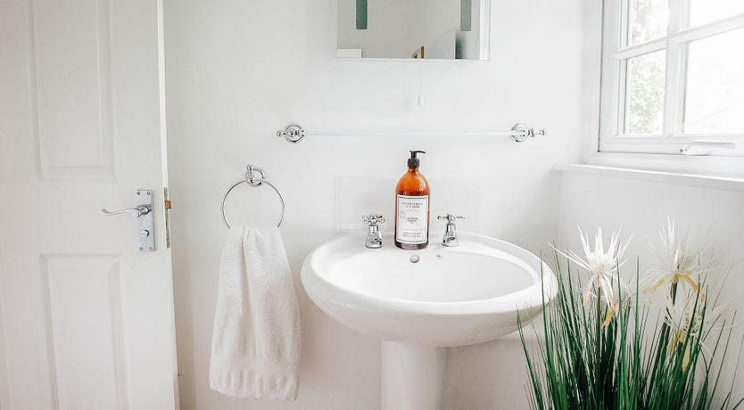 Photo of Faerie World