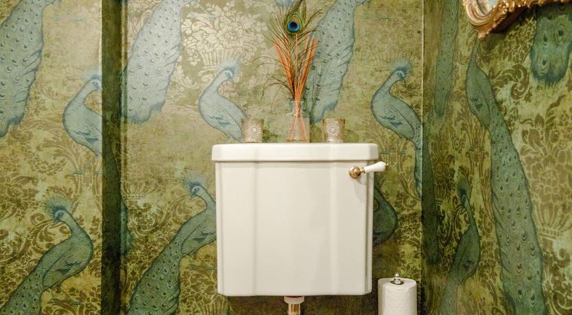 Photo of The Blue Peacock