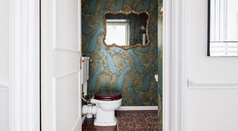 Photo of The Blue Peacock