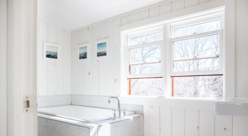 Photo of Whale Watching