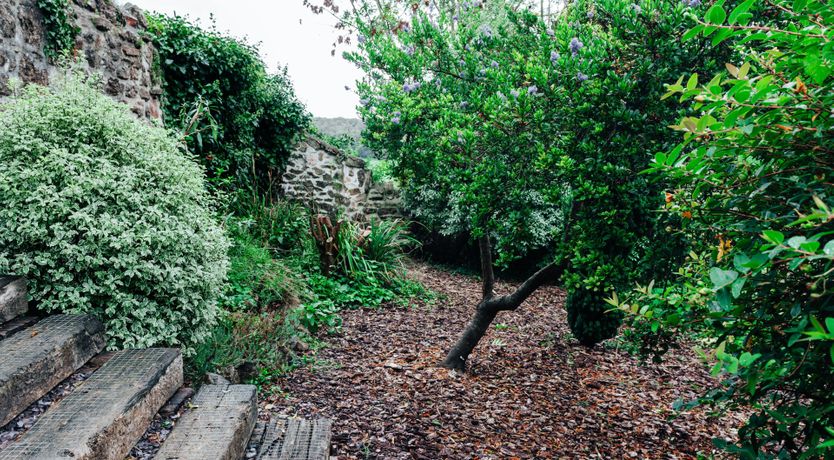 Photo of Paints & Brush