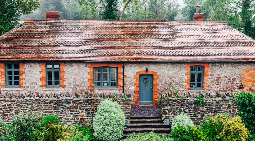 Photo of Paints & Brush