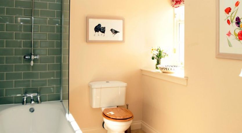 Photo of Gaelic Stone