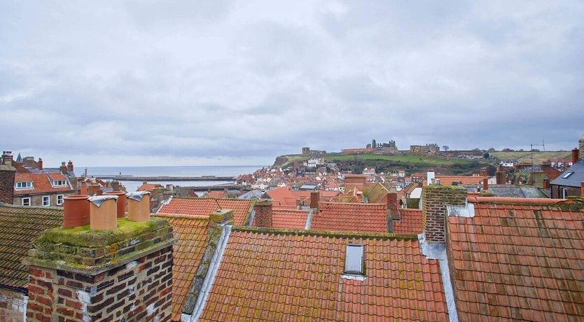 Photo of Velvet Cobalt