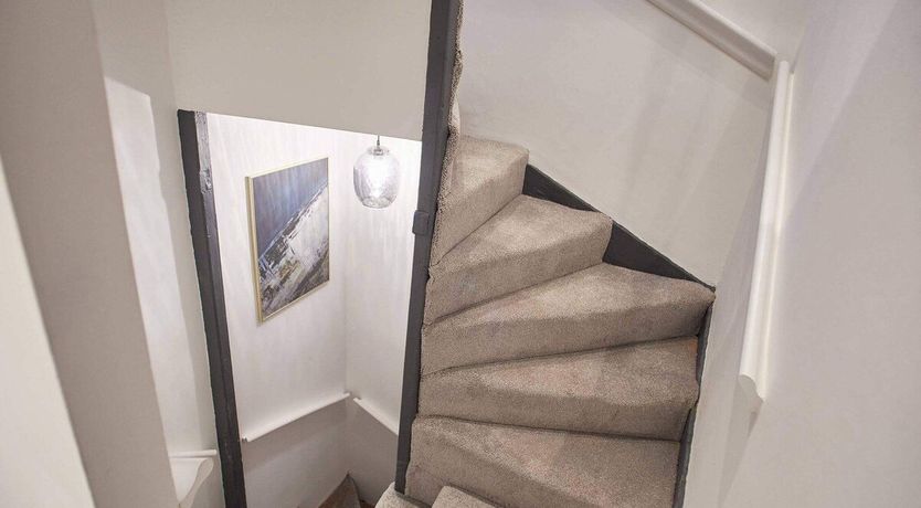 Photo of Velvet Cobalt