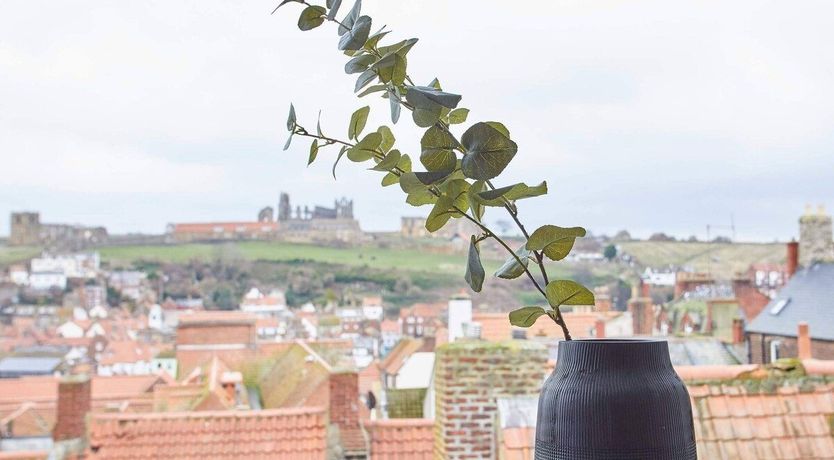 Photo of Velvet Cobalt