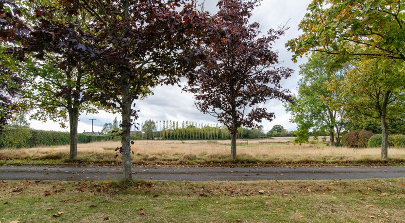 Photo of The Kingfisher