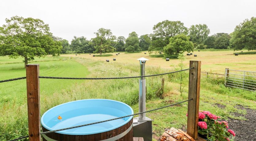 Photo of The Lazy Mare by The Water