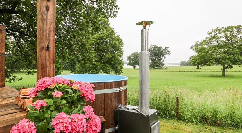 Photo of The Lazy Mare by The Water