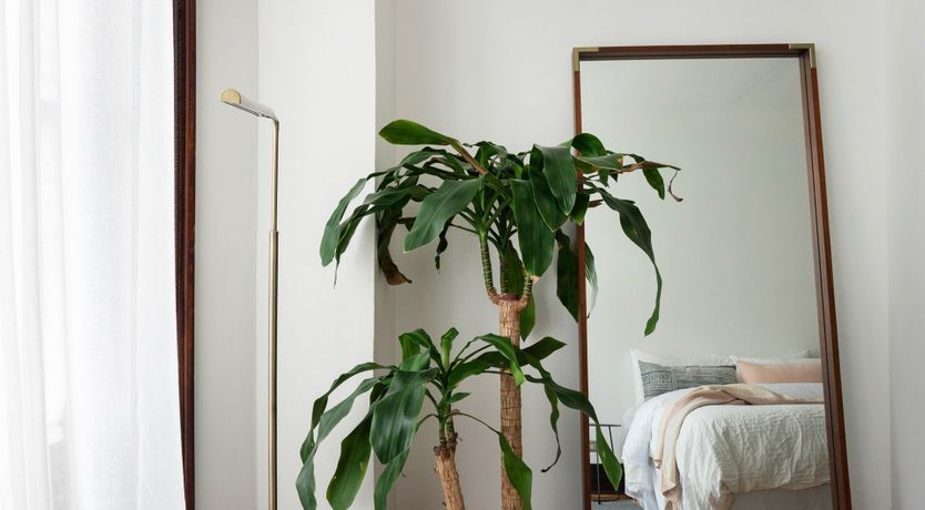 Photo of The Yolk House