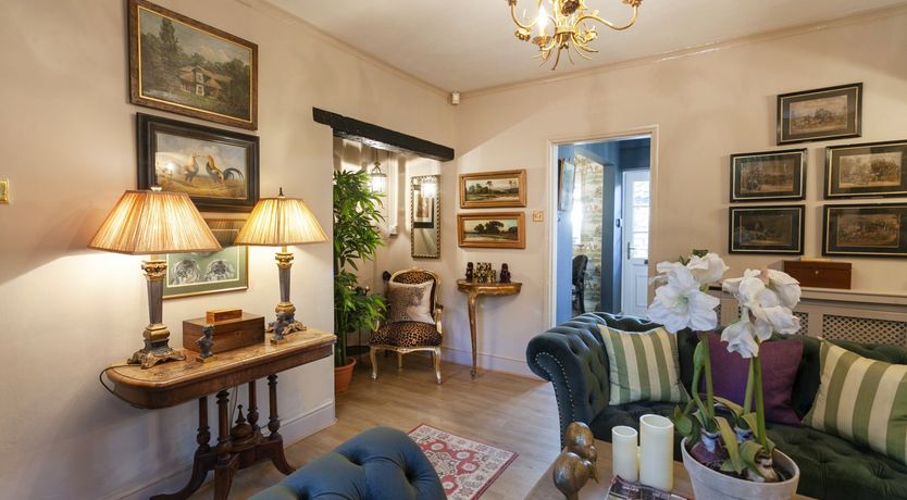 Photo of Lady’s Mantle