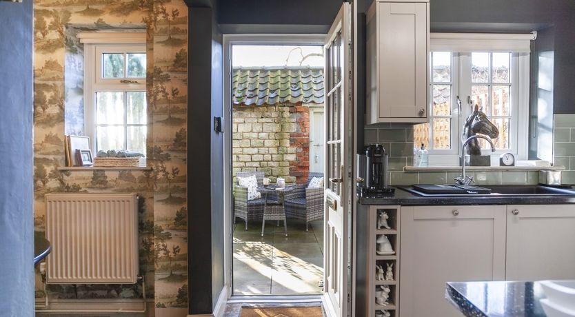 Photo of Lady’s Mantle