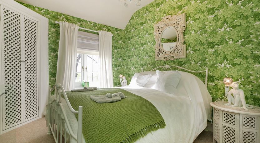 Photo of Lady’s Mantle