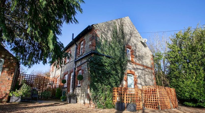 Photo of Lady’s Mantle