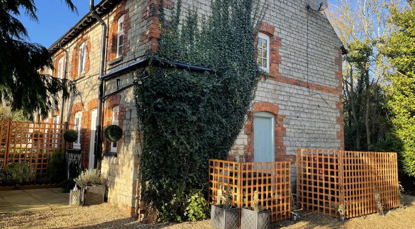 Photo of Lady’s Mantle