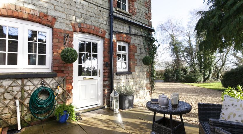 Photo of Lady’s Mantle