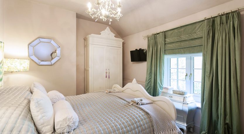 Photo of Lady’s Mantle