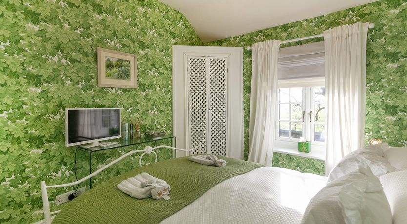 Photo of Lady’s Mantle