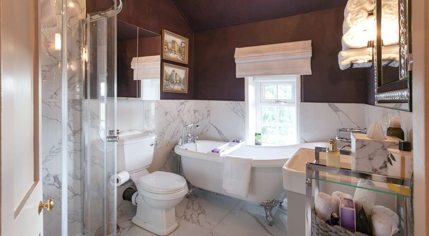 Photo of Lady’s Mantle