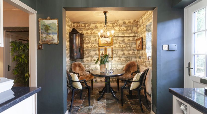 Photo of Lady’s Mantle