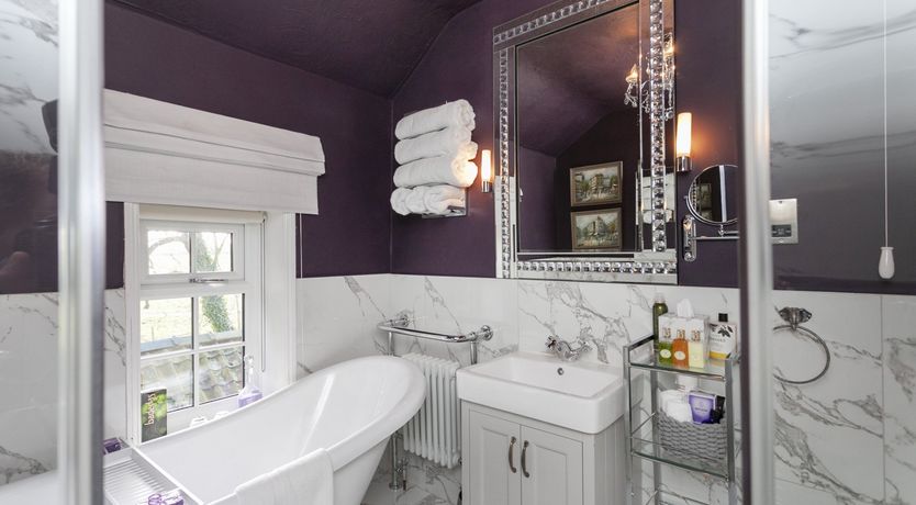 Photo of Lady’s Mantle