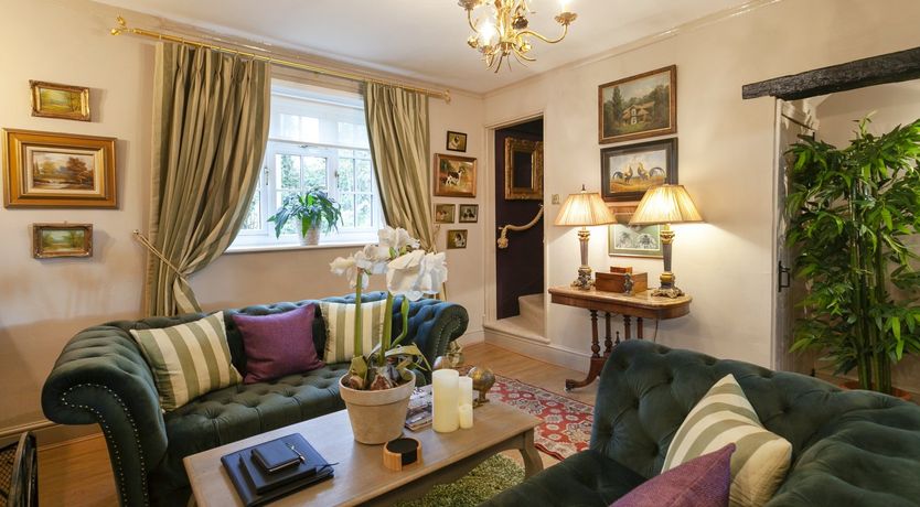 Photo of Lady’s Mantle