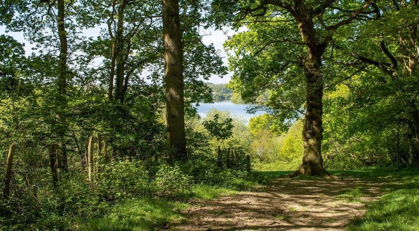 Photo of Pastoral Bliss