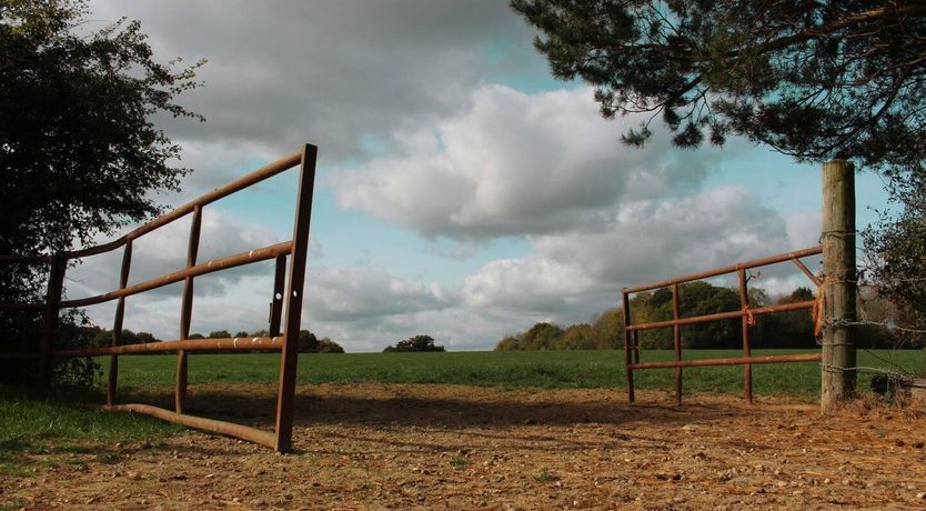 Photo of Pastoral Bliss