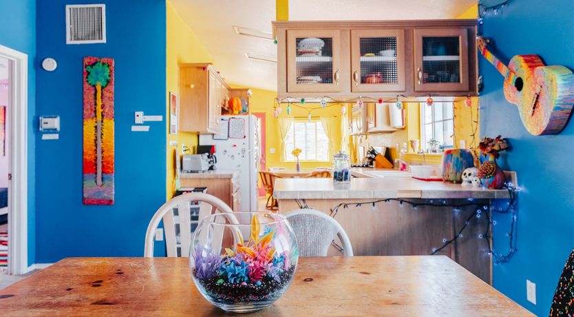 Photo of Technicolour Vision