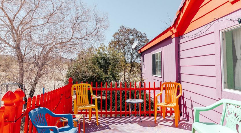 Photo of Technicolour Vision