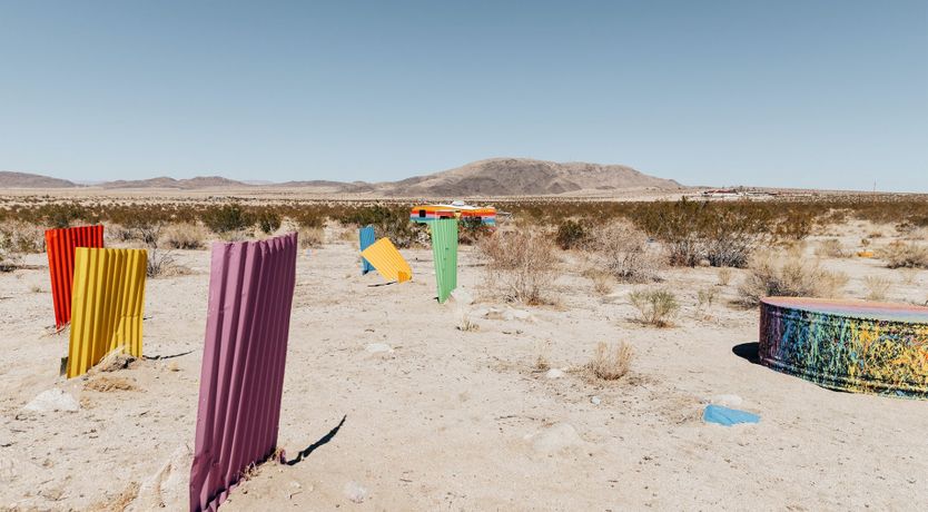 Photo of Technicolour Vision