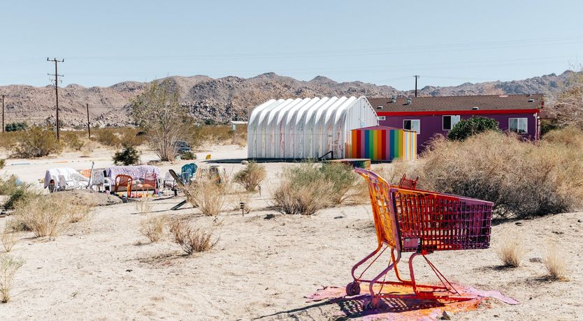 Photo of Technicolour Vision