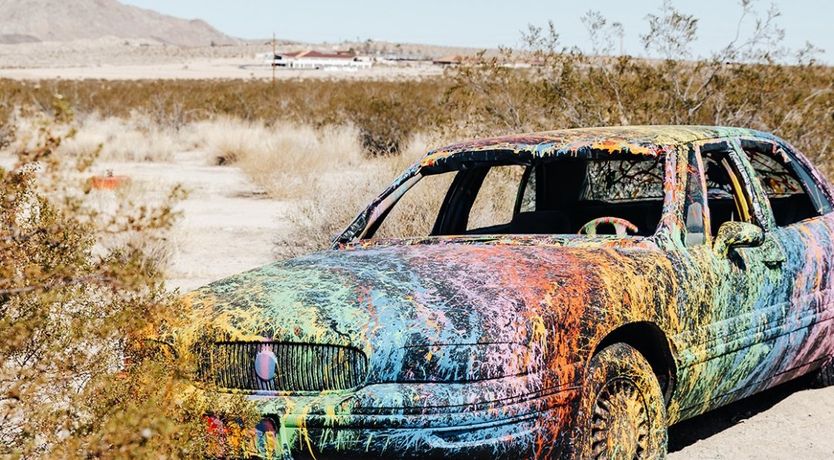 Photo of Technicolour Vision