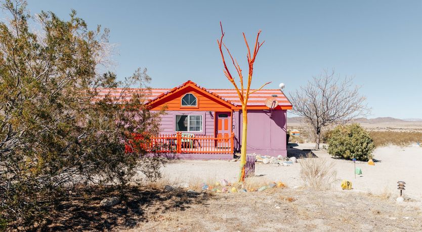 Photo of Technicolour Vision