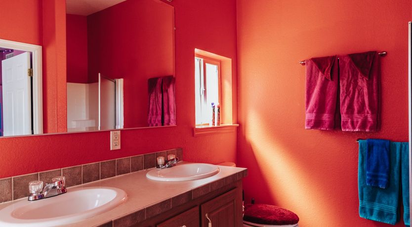 Photo of Technicolour Vision