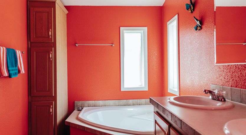 Photo of Technicolour Vision