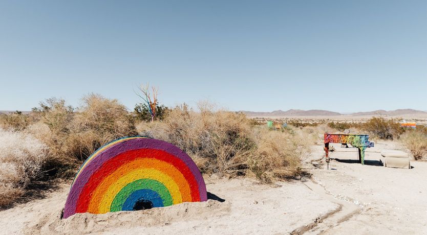 Photo of Technicolour Vision